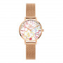 Daniel Wellington DW00100723 naiste käekell, 28 mm