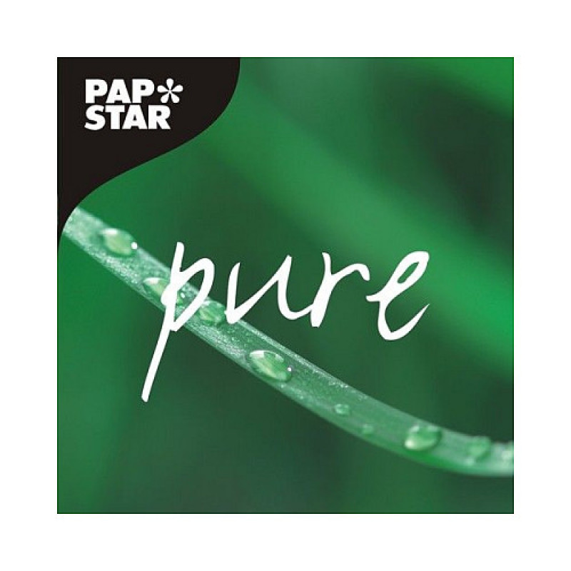 PAPSTAR ühekordsed puidust segamispulgad – 1000 tk