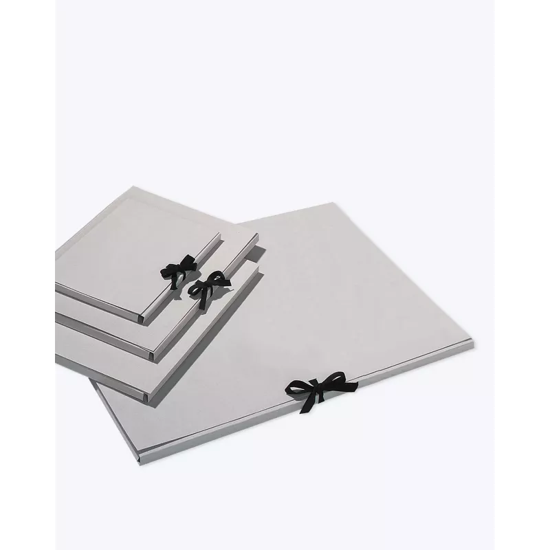 folia joonistusmapp DIN A3, hall