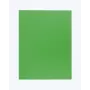 folia portfooliomapp DIN A4, roheline