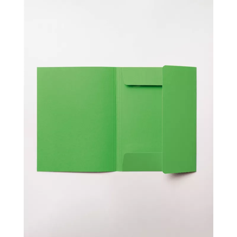 folia portfooliomapp DIN A4, roheline