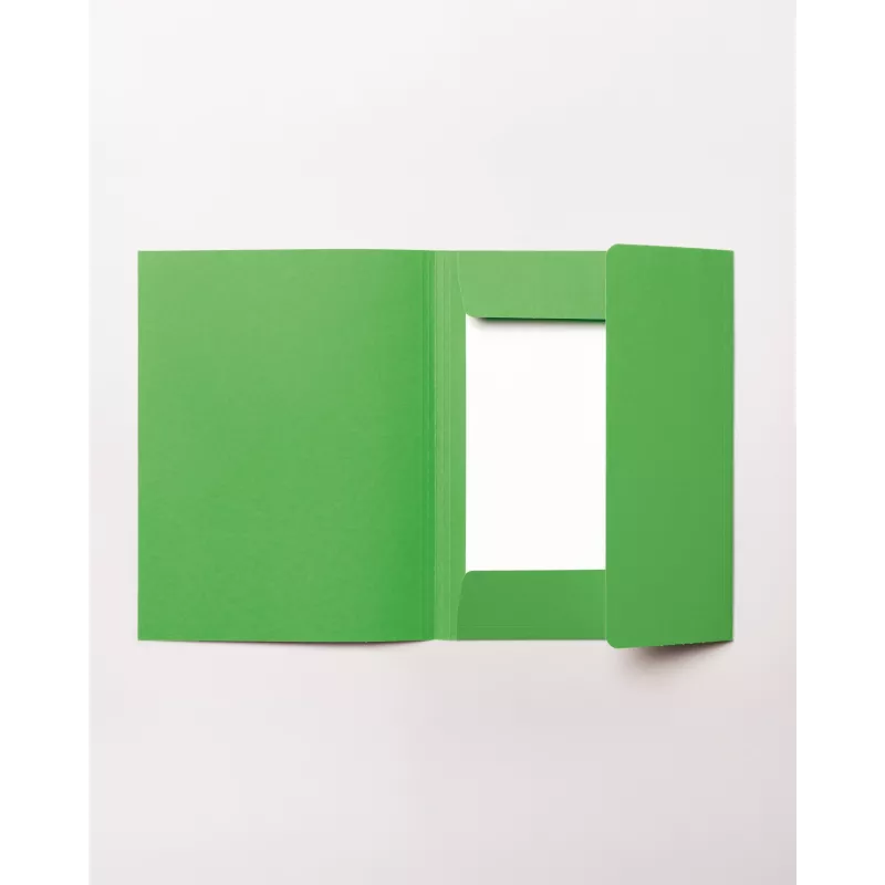 folia portfooliomapp DIN A4, roheline