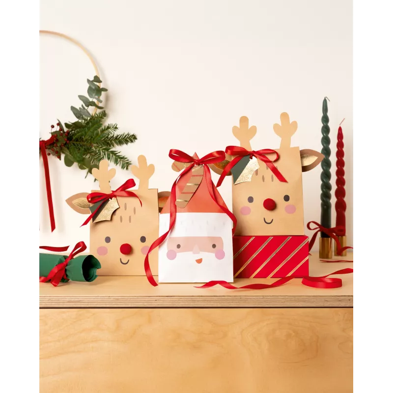 Folia paberkotid Santa & Deer mitmevärvilised