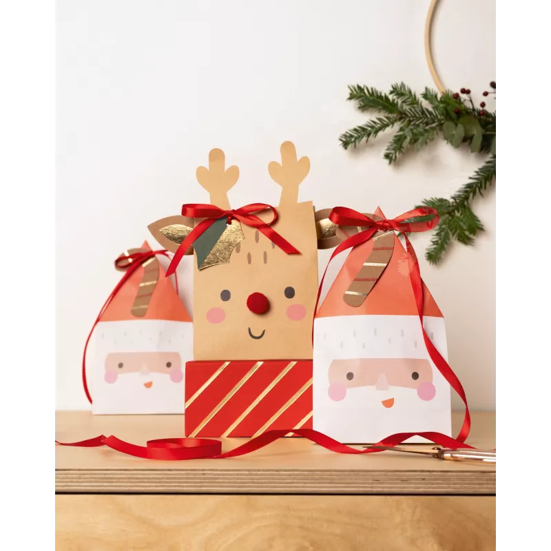 Folia paberkotid Santa & Deer mitmevärvilised