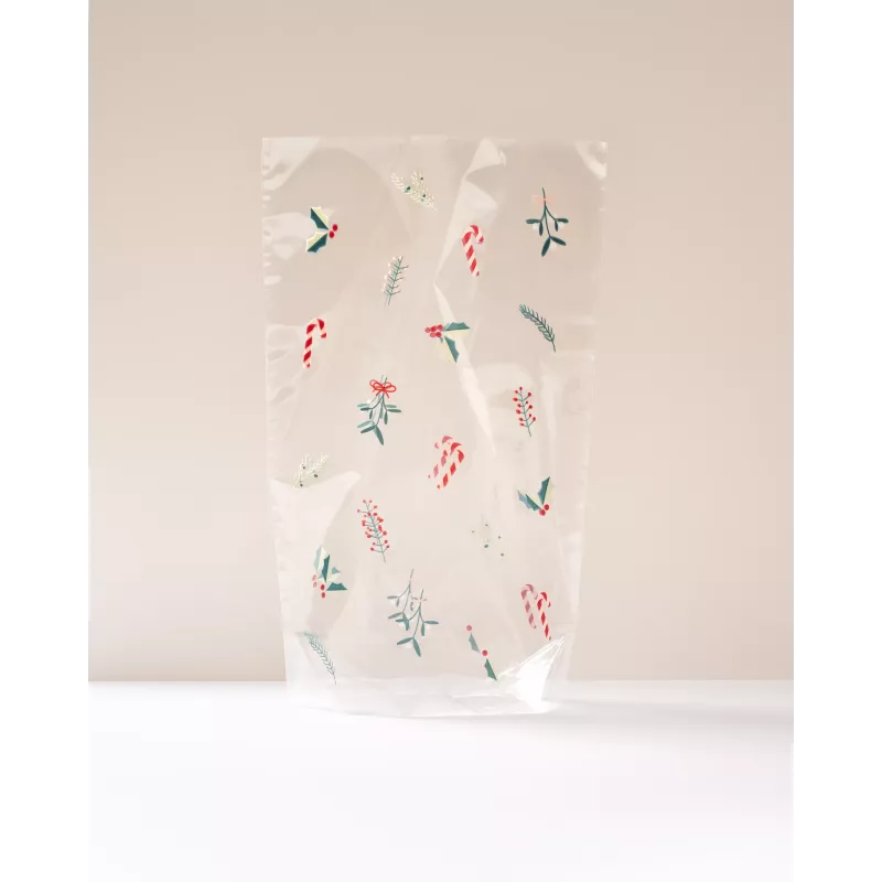 Folia PP põhjaga kott A FLORAL CHRISTMAS, 14,5 x 23,5 cm