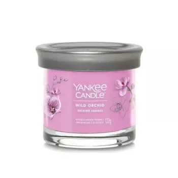 Yankee küünal klaasis 1 tahiga, Wild Orchid