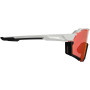 LEATT RideViz Pro Iriz Cryztal jalgrattaprillid, must/valge