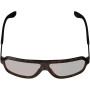 Leatt TheViz Andes Polarized jalgrattaprillid, pruunid