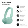 Sony WH-CH530 juhtmevabad Bluetooth-kõrvaklapid, mündiroheline
