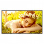 LG 55UL5Q-M 55-tolline LCD-ekraan, 3840 x 2160, 4K Ultra HD, 16:9