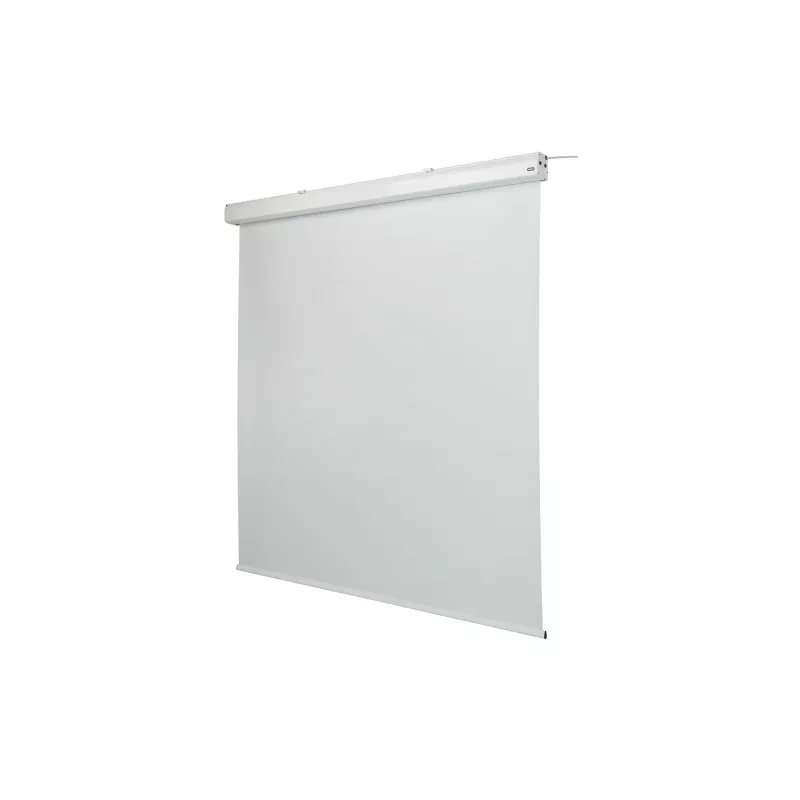 celexon Expert mootoriga projektori ekraan, 156" (396 cm), 230 V