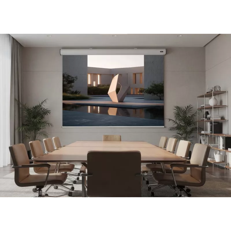 celexon Expert mootoriga projektori ekraan, 156" (396 cm), 230 V