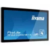 iiyama TF2234MC-B1X 21,5″ (55,9 cm) mitmikpuutega puuteekraaniga monitor, 16:9, DVI