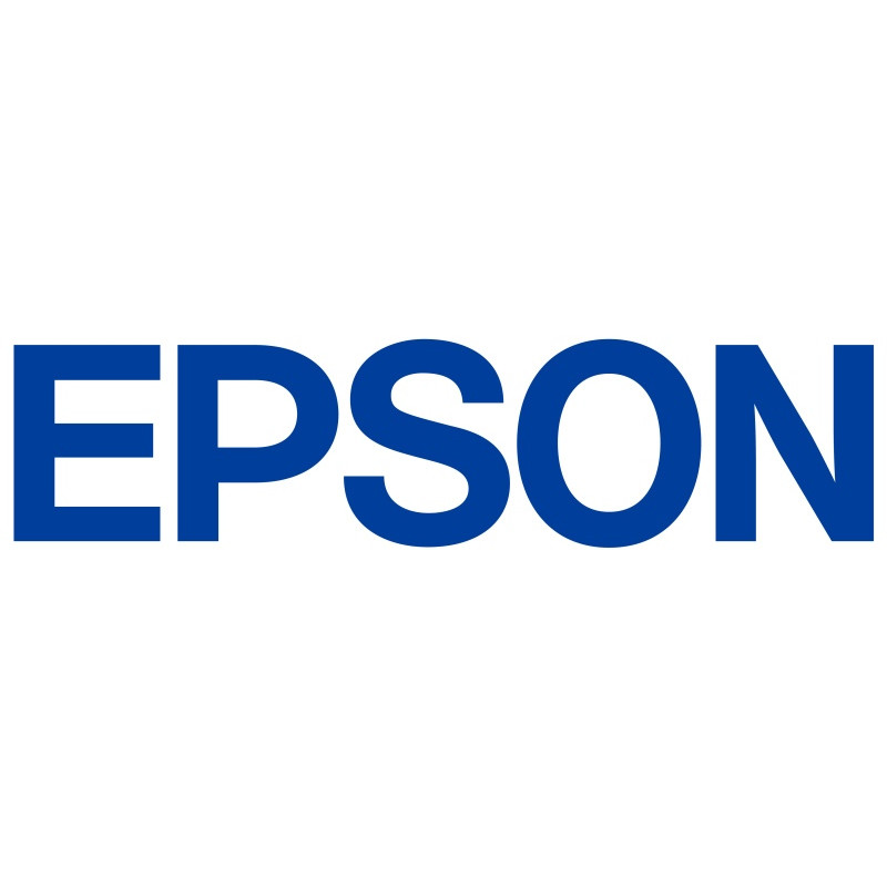 Epson UltraChrome DG2 T55BA C13T55BA00 tindikassett, 250 ml, valge