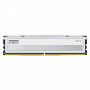 Klevv Fit V KD5AGU880-56K300Q DDR5-5600 CL30 16 GB mälumoodul