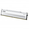 Klevv Fit V KD5AGU880-56K300Q DDR5-5600 CL30 16 GB mälumoodul