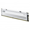 Klevv Fit V KD5AGU880-56K300Q DDR5-5600 CL30 16 GB mälumoodul