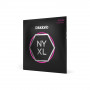 Daddario D'Addario NYXL0942 elektrikitarri keeled, 09–42