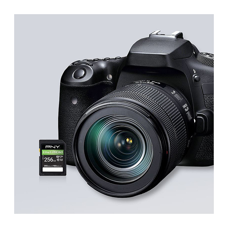 PNY EliteX-PRO60 SDXC mälukaart 256 GB, UHS-II, Class 10, P-SD256V60280EXP6-GE