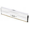 Silicon Power XPOWER Zenith Gaming SP032GXLWU60AFDG, 32 GB (2 x 16 GB), DDR5, 6000 MHz, CL30, 1,35 V, valge