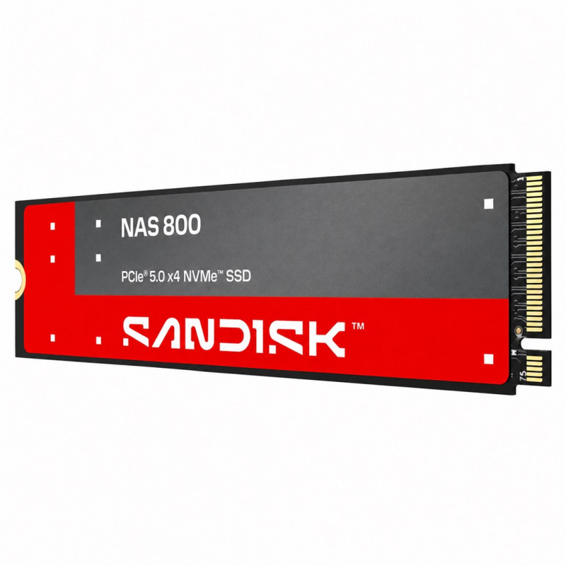 SanDisk NAS 800 1,92 TB M.2 2280 NVMe Gen 5 sisemine SSD (SDSNP2192TAN-000E0)