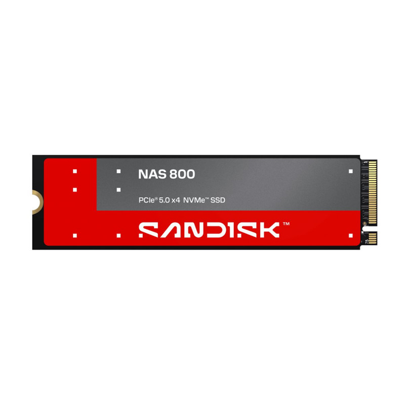 SanDisk NAS 800 960 GB M.2 2280 NVMe Gen 5 sisemine SSD (SDSNP2960GAN-000E0)