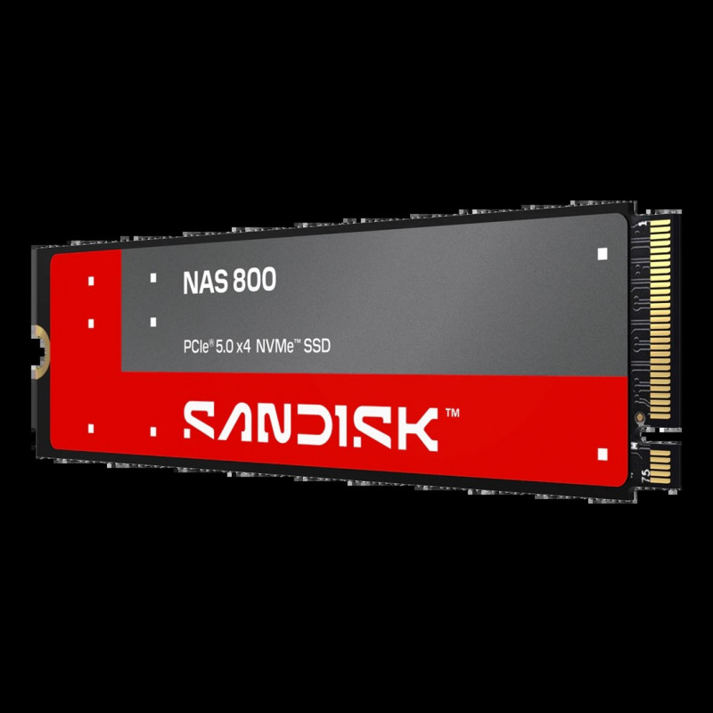 SanDisk NAS 800 960 GB M.2 2280 NVMe Gen 5 sisemine SSD (SDSNP2960GAN-000E0)