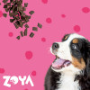 ZOYA ColdPRO Beef kuiv koeratoit, 1 kg