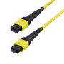 StarTech.com OS2MTP12BOFNP2M MTP/MPO-12 ühemoodiline valguskaabli ühenduskaabel (2 m)