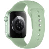 Tech-Protect silikoonist rannikukellarihm Apple Watch 8 / 9 / 10 / 11 / 12 / SE (40 / 41 / 42 mm), Pistachio