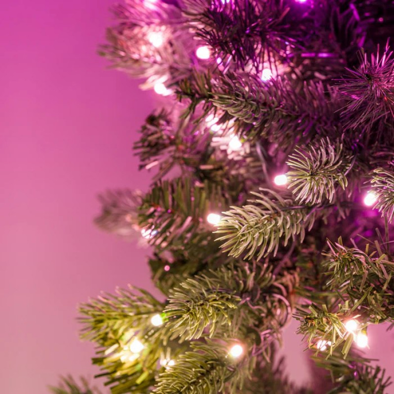 Twinkly eelvalgustusega pärg 50 RGB LED-iga, roheline juhe, pistik tüüp C, 60 cm