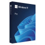Microsoft Windows 11 Pro BOX, 64-bit, poola keel, USB-mälupulk (HAV-00209)