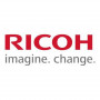 Ricoh D0BN2243 arendusüksus kollane