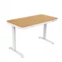 ACJ ACTIVEJET Elektriline kõrgusega reguleeritav laud 120x60 ET119S White/Oak
