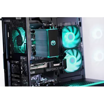 Actina PC AMD Ryzen 7 7700 32 GB DDR5-SDRAM 1 TB SSD NVIDIA GeForce RTX 5060 Midi Tower Must