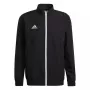 adidas Entrada 22 esitlusjope must H57534 L