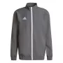 adidas Entrada 22 esitlusjope meeskonna hall neli/must S