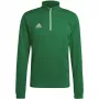 adidas meeste Entrada 22 treeningpluus roheline 2XL