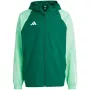 adidas Tiro 23 Competition iga ilmaga meeste jope roheline IC4570