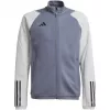 adidas Tiro 23 Competition treening dressipluus hall HP1909