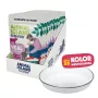 ANIMAL ISLAND NEW JELLY EVERYDAY 12x85g + Söögikauss