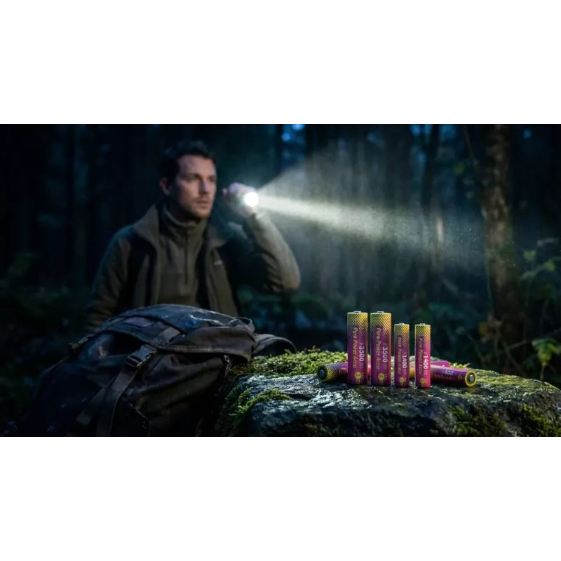 ANSMANN PurePower Set AA laadija koos 4x AA 2100mAh NiMH akuga