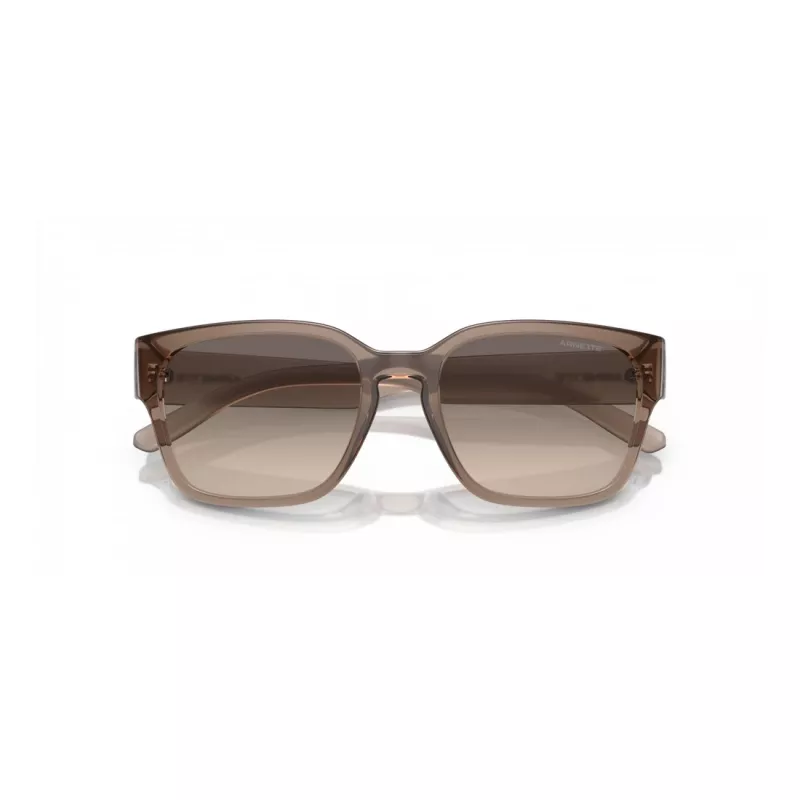 Arnette AN4325-290613 Meeste Päikeseprillid Matt Must Tumehall 53mm