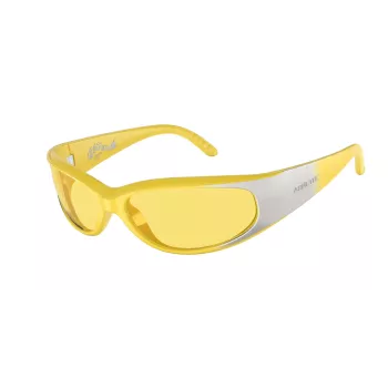 ARNETTE Unisex Päikeseprillid AN4302-281685 Matt Must Raam Tumehall Lääts 62/16/125 mm