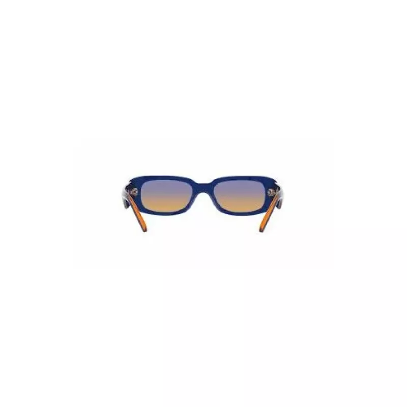 ARNETTE Naiste Kassiprilli Päikeseprillid AN431712392H5 - Havana Propionaadi Raam, Pruuni Gradient Polükarbonaadi Läätsed, 50mm