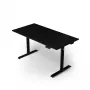 Arozzi Arena Nordico Elektriline Seisev Laud – Kahe mootoriga, 160x80 cm, Must