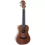 Arrow MH10 Sapele Concert Ukulele koos transpordikotiga