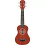 Arrow PB10 NT Soprano Natura Ukulele koos transpordikotiga