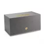 Audio Pro C10 MkII juhtmevaba multiroom kõlar AirPlay 2 ja Chromecast'iga, hall