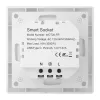 AVATTO WOT20-FR Smart Outlet